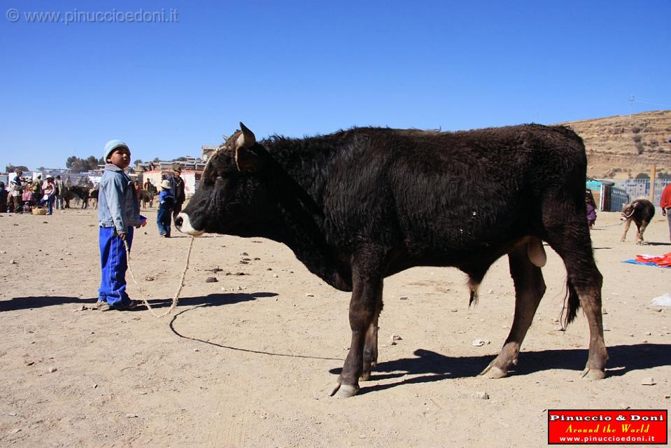 PERU - Mercado de los toros - 02.jpg